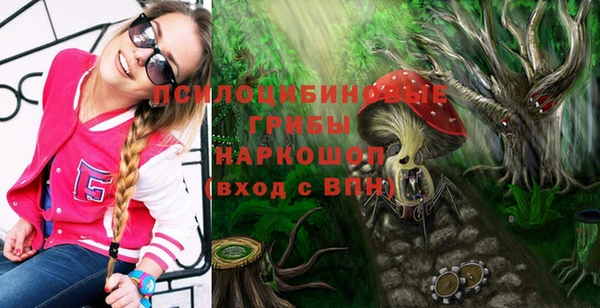 мет Богородицк